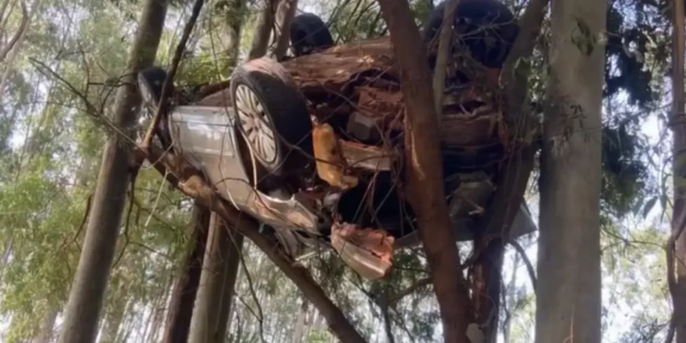 Carro fica preso em árvore após acidente na rodovia PR-542 Imagem referente a Carro fica preso em árvore após acidente na rodovia PR-542