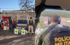 Operação apreende cigarros contrabandeados na BR-277, em Santa Tereza do Oeste