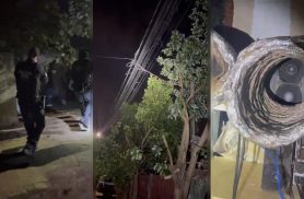Suspeito de roubo a pet shop é detido com drogas e mineração ilegal de criptomoedas