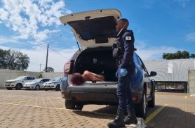 Mulher tenta esfaquear passageira em ônibus e é presa após furto de carnes em Cascavel