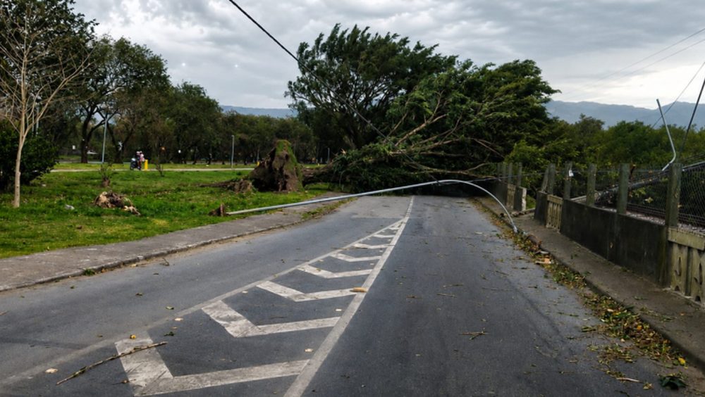 SP: ventania pode atingir 50 km/h no fim de semana Imagem referente a SP: ventania pode atingir 50 km/h no fim de semana