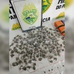 Imagem relativa a PM apreende mais de 1,3 kg de drogas no Jardim São Jorge em Londrina