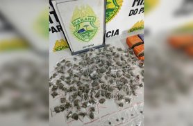 PM apreende mais de 1,3 kg de drogas no Jardim São Jorge em Londrina