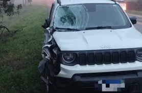 Irmãos de 7 e 14 anos morrem atropelados a caminho da escola na BR-470