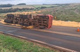 Caminhão carregado com milho tomba na PR-581 e motorista fica ferido em Assis Chateaubriand