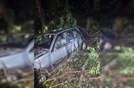 Motorista fica ferido após Monza sair da pista e bater contra árvores na PR-364