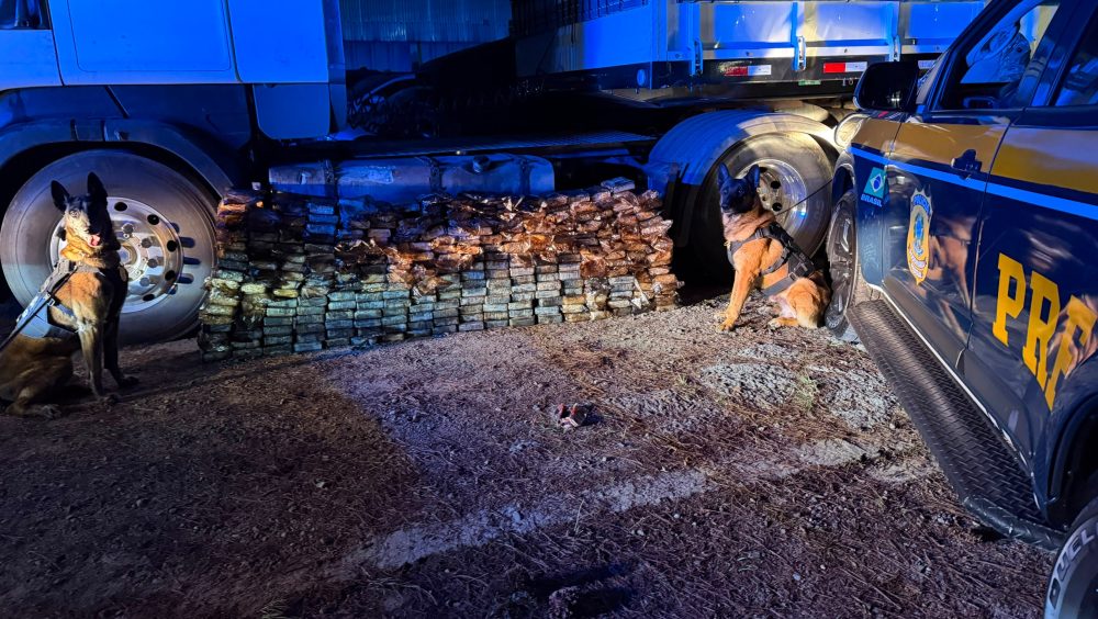 PRF apreende 298 kg de cocaína em carreta na rodovia BR-277 Imagem referente a PRF apreende 298 kg de cocaína em carreta na rodovia BR-277