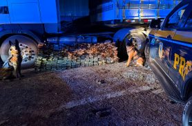 PRF apreende 298 kg de cocaína em carreta na rodovia BR-277