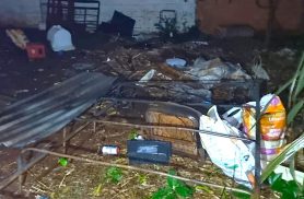 Incêndio em lote baldio é controlado antes de atingir casas e rede elétrica
