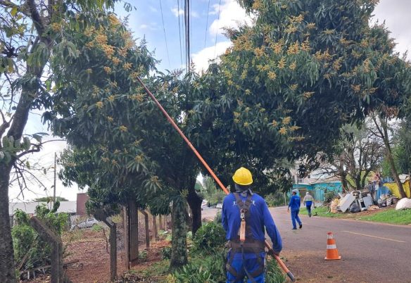 Mais de 9,2 mil árvores receberam poda preventiva em Cascavel