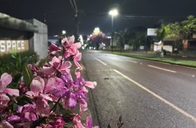 Cascavel começa o dia com neblina e rajada de 62,6 km/h