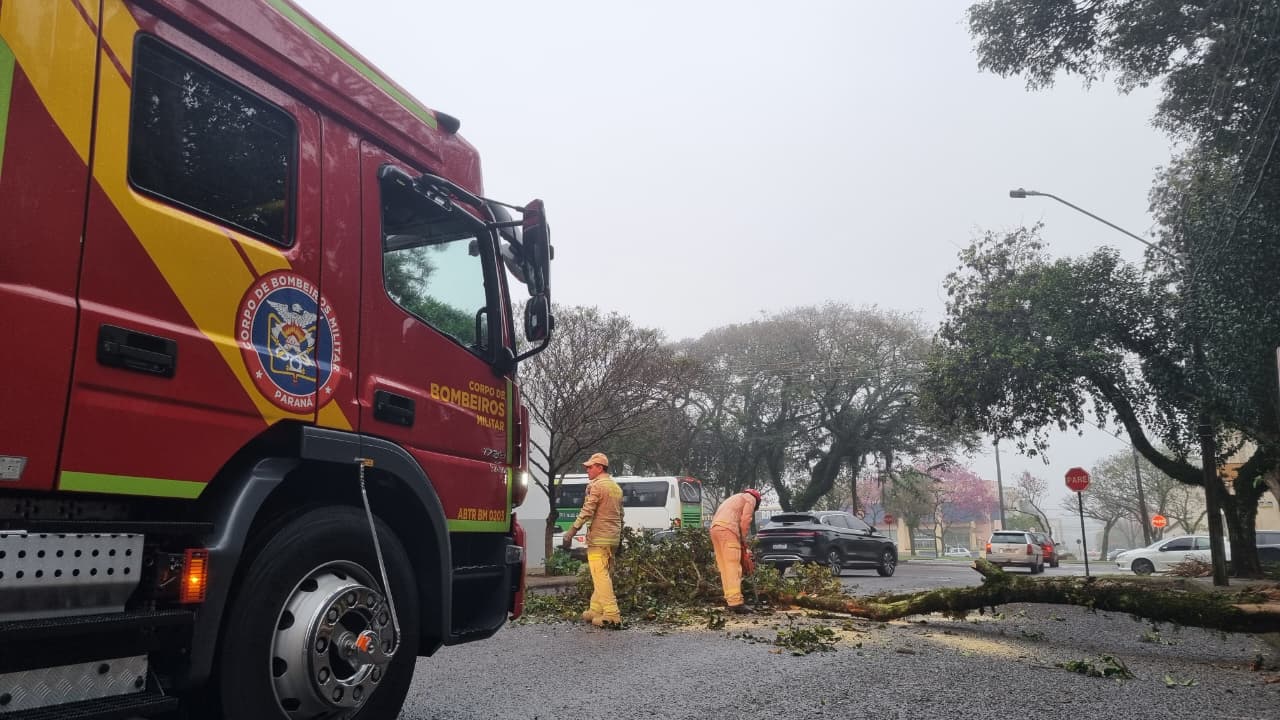 Bombeiros realizam corte de árvore na Rua Marechal Deodoro, no Centro de Cascavel