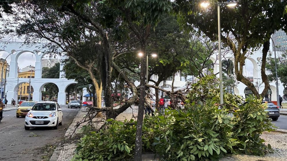 Ventania: moradores do Rio acordam sob alerta; saiba o que fazer Imagem referente a Ventania: moradores do Rio acordam sob alerta; saiba o que fazer