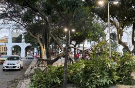 Ventania: moradores do Rio acordam sob alerta; saiba o que fazer