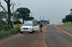 Volvo com mais de R$ 46 mil em débitos é apreendido pela Polícia Rodoviária