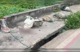 Assustador: dois corpos esquartejados são encontrados dentro de sacos em canal