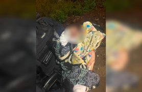 Guarda Municipal localiza bebê de 25 dias levado pelo pai após ocorrência de violência doméstica
