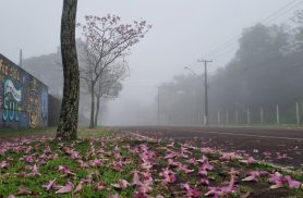 Fim de semana de Dia dos Pais começa e termina com tempo instável em Cascavel