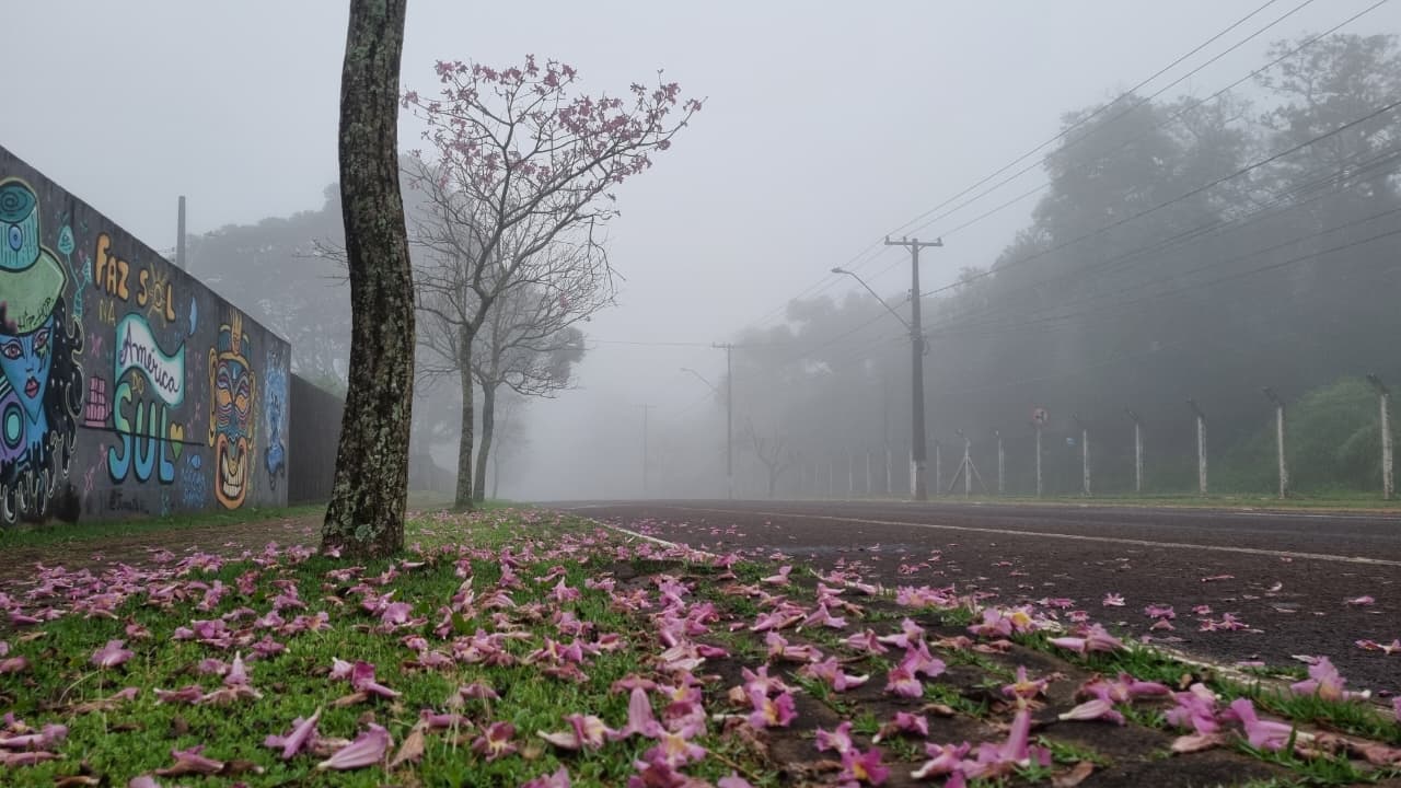 Imagem referente a Fim de semana de Dia dos Pais começa e termina com tempo instável em Cascavel