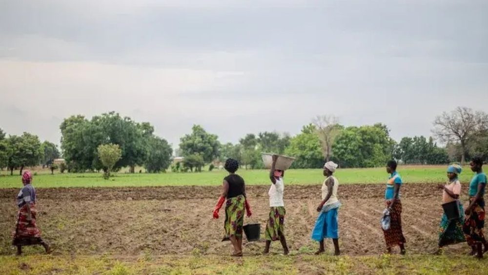 Imagem referente a Grande Muralha Verde restaura 1,66 milhão de hectares na África
