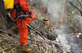 Colombianas que morreram na queda de helicóptero eram avó, mãe e filha Colombianas que morreram na queda de helicóptero eram avó, mãe e filha