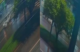Acidente na Avenida Rocha Pombo em Cascavel: vídeo mostra carro batendo em poste