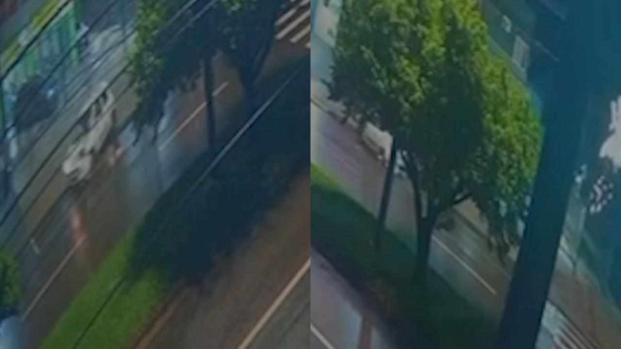 Acidente na Avenida Rocha Pombo em Cascavel: vídeo mostra carro batendo em poste