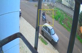 Cachorros atravessam a rua e provocam acidente com duas vítimas em Cascavel