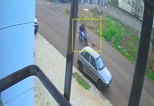 Cachorros atravessam a rua e provocam acidente com duas vítimas em Cascavel
