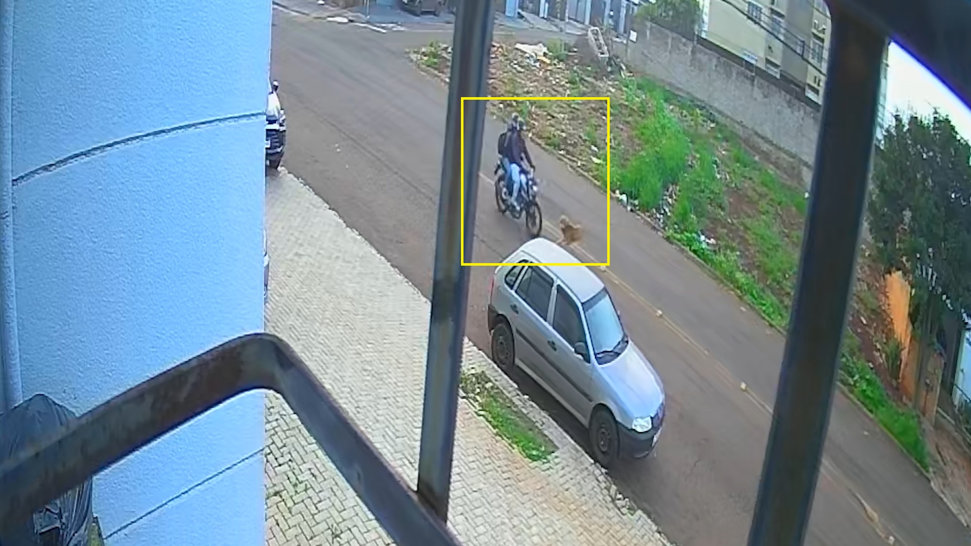 Cachorros atravessam a rua e provocam acidente com duas vítimas em Cascavel