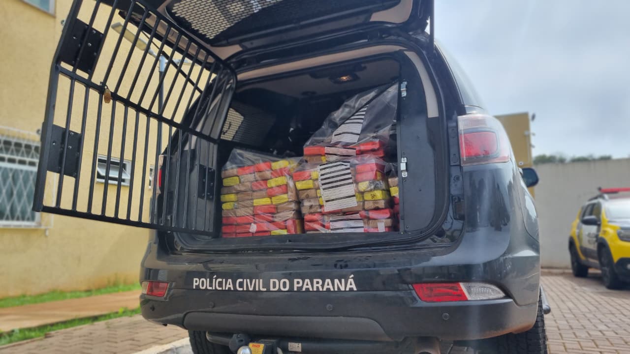 Polícia Civil e RF apreendem drogas no CDD da Shopee