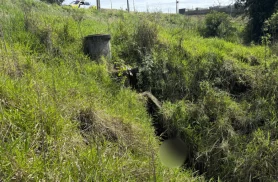 Homem é encontrado morto dentro de galeria de águas pluviais em área de mata