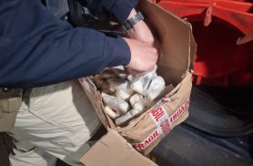 PRF apreende mais de 8 kg de drogas escondidas em caixas de caminhão na BR-277 em Cascavel