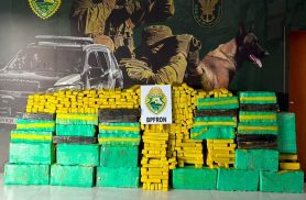 BPFRON prende homem e apreende mais de 800 kg de maconha em Umuarama