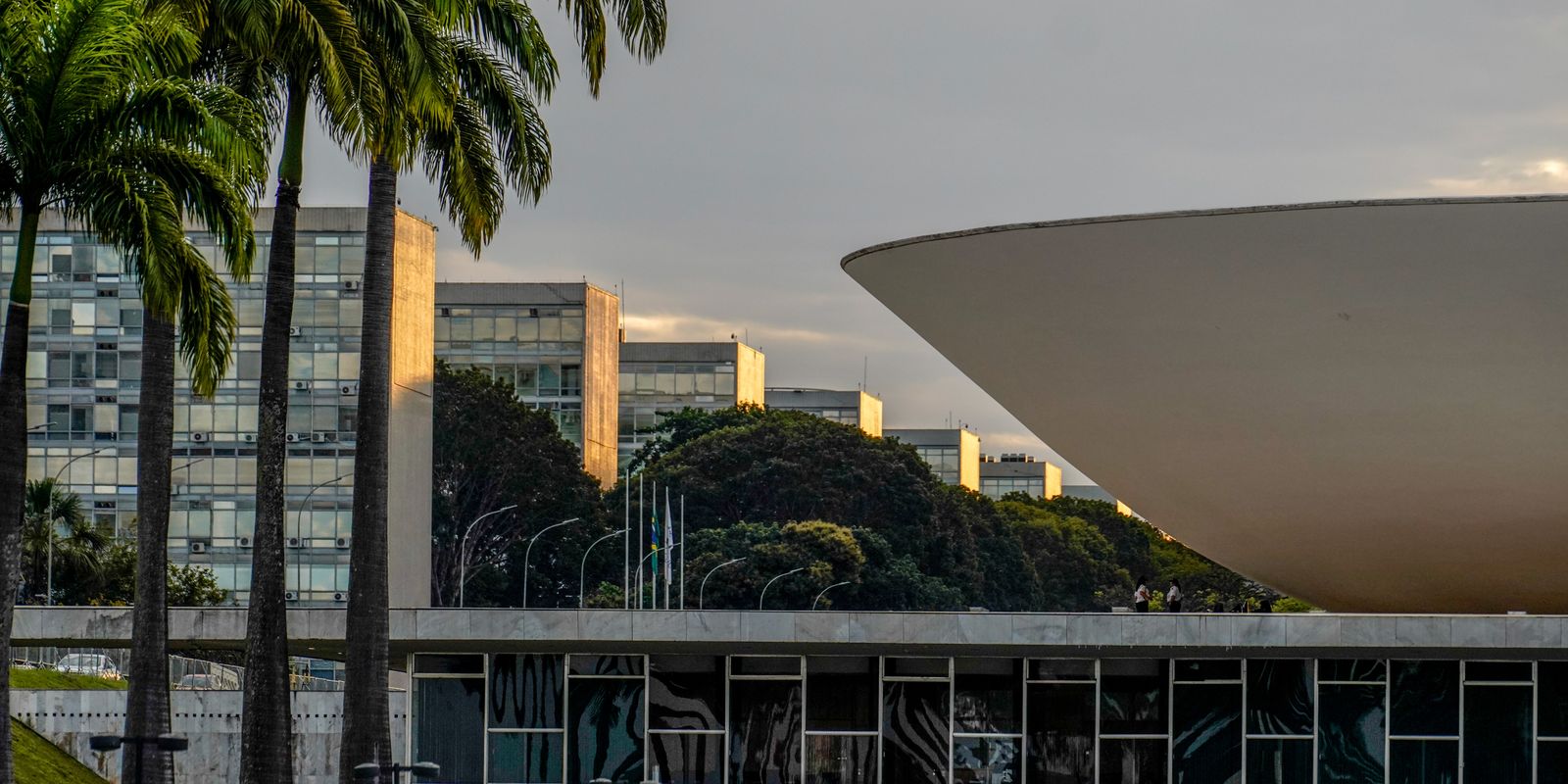 Imagem referente a Líder do PT passa mal e Câmara suspende votações