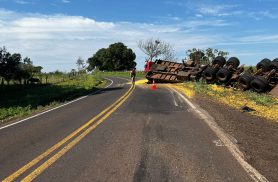 Caminhão sai da pista e bate em árvores, cerca e poste na PR-496 em Terra Roxa