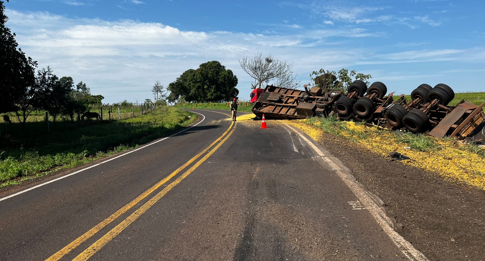 Imagem referente a Caminhão sai da pista e bate em árvores, cerca e poste na PR-496 em Terra Roxa