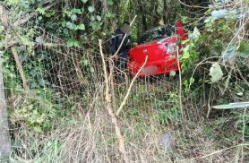 Fiat Siena passa direto por rotatória e entra em área de preservação em Toledo