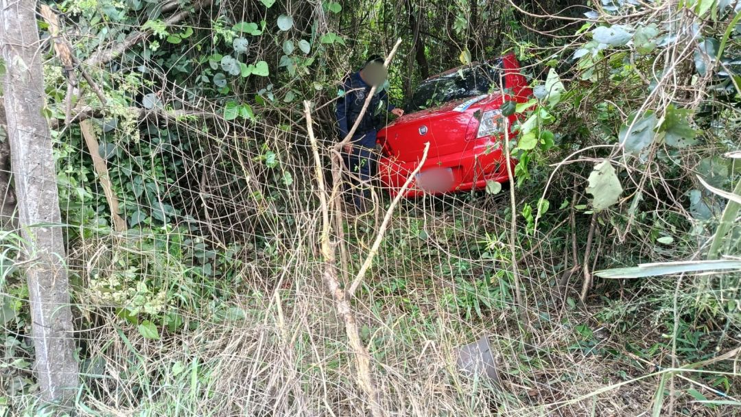 Imagem referente a Fiat Siena passa direto por rotatória e entra em área de preservação em Toledo