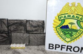 BPFRON apreende 480 ampolas de medicamento para emagrecimento na PR-182
