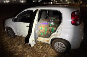 Veículo com mais de 370 kg de maconha é apreendido em Santa Helena