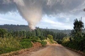 Tornado que atingiu Piraí do Sul é classificado como F3 pelo Simepar; ventos podem ter chegado a 332 km/h