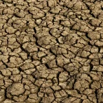 Imagem relativa a Risco de desertificação no Brasil ameaça segurança hídrica e alimentar