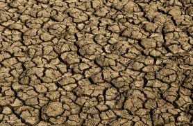 Risco de desertificação no Brasil ameaça segurança hídrica e alimentar