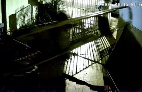 Câmera flagra furto de escada no Centro de Cascavel durante a madrugada