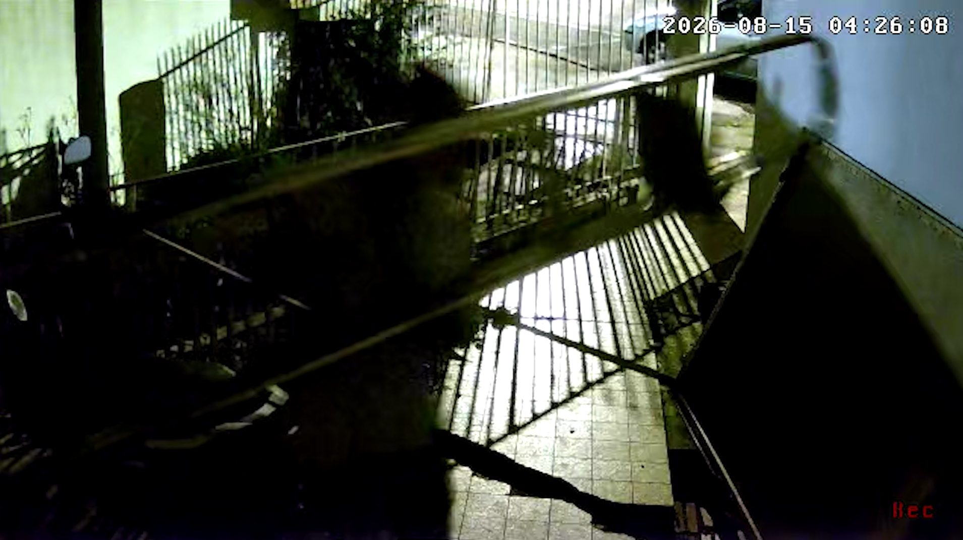 Câmera flagra furto de escada no Centro de Cascavel durante a madrugada