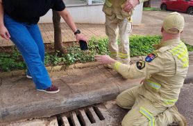 Mulher deixa celular cair em bueiro e precisa da ajuda dos bombeiros em Cascavel