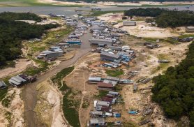 Da Amazônia à Europa, seca avança e movimenta debates na COP17 Da Amazônia à Europa, seca avança e movimenta debates na COP17