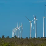 Imagem relativa a Projeto mapeia caminhos para economia verde no Nordeste