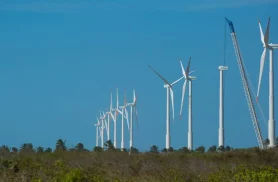 Projeto mapeia caminhos para economia verde no Nordeste Projeto mapeia caminhos para economia verde no Nordeste
